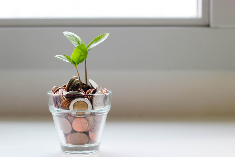 Money in sprouting plant pot